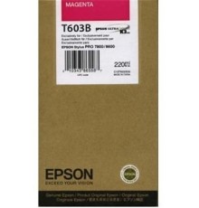 Картридж Epson T603B (C13T603B00)