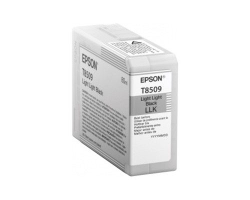 Картридж Epson T8509 (C13T850900)
