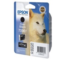 Картридж Epson T0961 (C13T09614010)